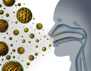 A number of viruses cause upper respiratory tract infection