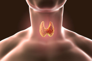 Thyroid and Parathyroid Surgery ent360