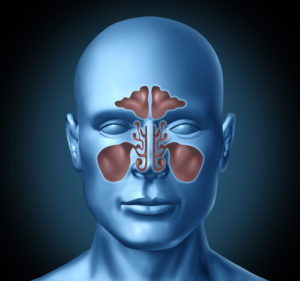 Nose and Sinus Clinic ent360